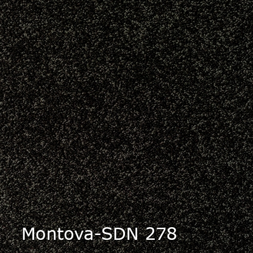 Montova SDN-278